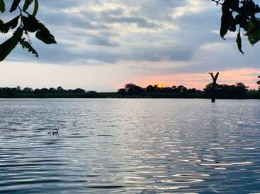 Un lac tranquille reflète le ciel nuageux au coucher du soleil. Les silhouettes d'arbres et l'eau calme créent une scène paisible et sereine, encadrée par des branches feuillues.