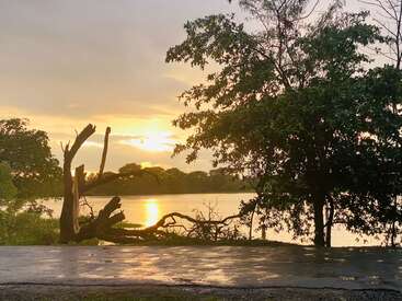 La lumière dorée du soleil se reflète sur une rivière calme, encadrée par des arbres verdoyants et une branche tombée, créant une atmosphère paisible et sereine sous un doux ciel de soirée.