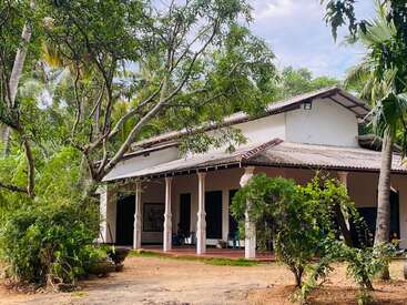 Une charmante maison traditionnelle avec des piliers blancs et un toit en tuiles, entourée d'arbres et de plantes verdoyantes, qui respire le calme et invite à la tranquillité rurale.