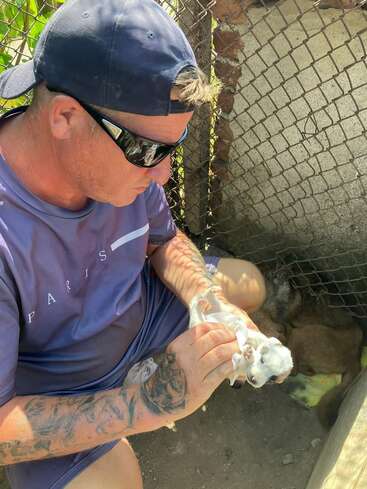 A man wearing a blue cap, sunglasses, and a tattooed arm gently tends to a small white puppy beside a wire fence under sunlight.