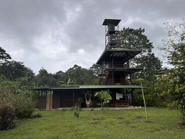 Une haute tour d'observation en bois à plusieurs niveaux s'élève au-dessus d'un bâtiment au toit vert entouré d'une végétation luxuriante et d'arbres, sous un ciel nuageux et couvert, dans un cadre naturel.