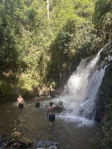 Drei Männer schwimmen und stehen in einem Waldpool am Fuße eines kleinen Wasserfalls, umgeben von üppigem grünen Laub und hellem Sonnenlicht.