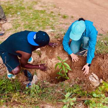 Zwei Leute arbeiten draußen zusammen und pflanzen einen jungen Baum in die Erde. Sie konzentrieren sich darauf, die Wurzeln der Pflanze mit Erde zu bedecken, um der Umwelt zu helfen.