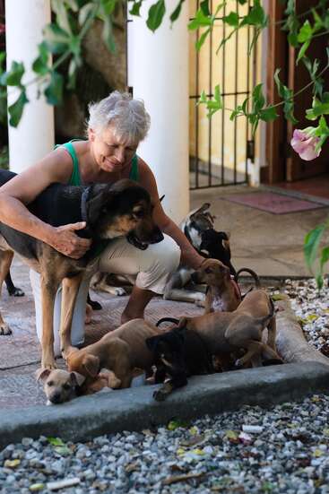 Une femme âgée vêtue d'un débardeur vert interagit affectueusement avec plusieurs chiens et chiots enjoués sur un porche, entouré de verdure et de plantes à fleurs.