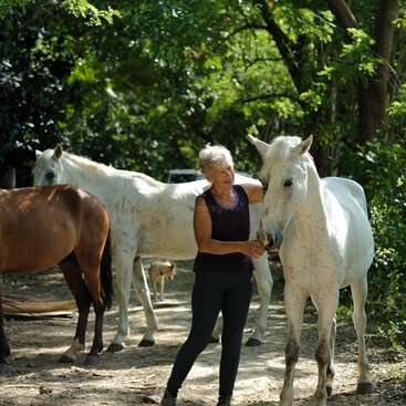 Uma mulher idosa está ao ar livre em uma área arborizada, acariciando gentilmente um cavalo branco. Perto dali, aparecem outro cavalo branco, um cavalo marrom e um cachorro.