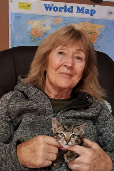 Das Bild zeigt eine Frau, die ein kleines getigertes Kätzchen auf dem Schoß hält, das in die Kamera schaut. Die Frau hat blonde Haare und trägt einen grauen Pullover.