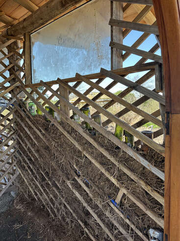 This image shows a wooden lattice wall partially filled with straw or hay, some glass bottles embedded inside, under a roof with a large dirty window above.
