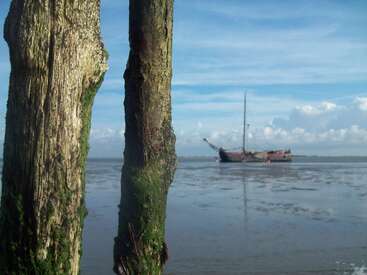 L'image représente deux troncs d'arbre usés par les intempéries et recouverts de mousse verte, avec un bateau à l'arrière-plan sur un plan d'eau sous un ciel bleu avec des nuages blancs.