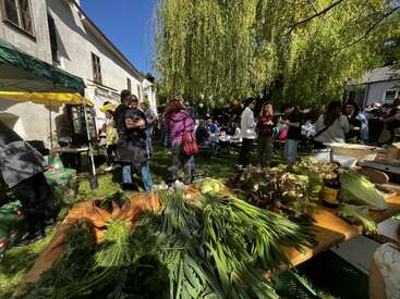 Ein lebendiger Bauernmarkt im Freien bietet frisches Gemüse, Menschen, die sich unter einem Baum treffen, Stände und eine lebendige Gemeinschaftsatmosphäre an einem sonnigen Tag.