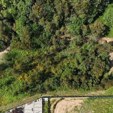 This aerial image captures a lush, densely wooded area bordered by patches of open grassland. An old building with a rusted roof sits in the corner.