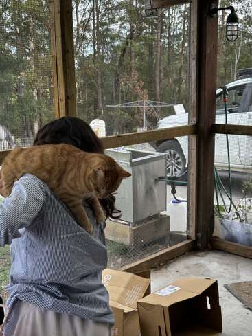 Una persona con el pelo largo y oscuro sostiene un gato atigrado naranja sobre su hombro. En el fondo se ven cajas de cartón, un coche blanco y árboles.