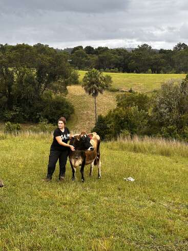 A person stands in a grassy field, holding a brown and white cow. Behind them, trees and green hills stretch beneath a cloudy, overcast sky. Peaceful scene.