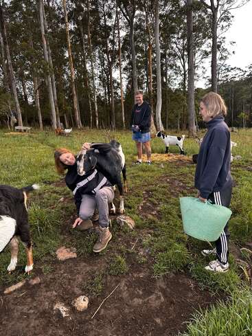 Three people interact with goats in a grassy, wooded area. One person hugs a goat, another stands smiling, the third holds a green bucket, enjoying nature.