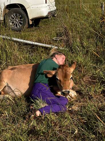 A woman in purple pants and a green shirt hugs a brown calf while lying in the grass, near a white vehicle in a rural field.