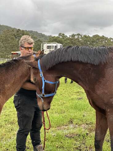 A man wearing sunglasses stands in a grassy field, gently holding and interacting with two brown horses. Trees and a cloudy sky are visible in the background.