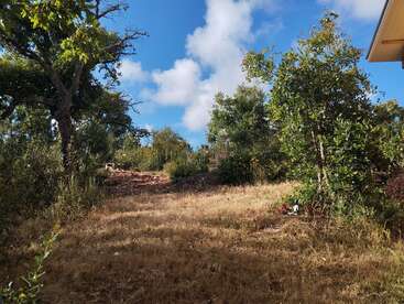 Une clairière herbeuse et ensoleillée s'étend vers le haut, bordée d'arbres et de buissons luxuriants, sous un ciel d'un bleu éclatant avec des nuages blancs et floconneux. On aperçoit un toit.