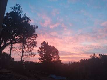 Des silhouettes d'arbres se détachent sur un ciel de coucher de soleil vibrant et coloré. Des teintes douces de rose, de violet et de bleu se mélangent pour créer une atmosphère paisible, sereine et rêveuse.
