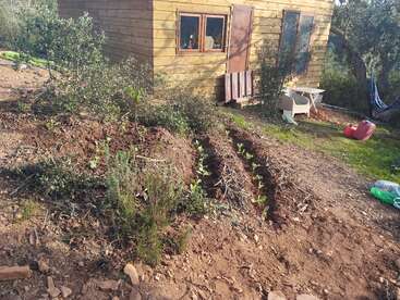 Une petite cabane en bois se dresse dans un cadre naturel. Devant, de jeunes plants de légumes poussent en rangs, entourés de terre, d'arbustes et d'un hamac.