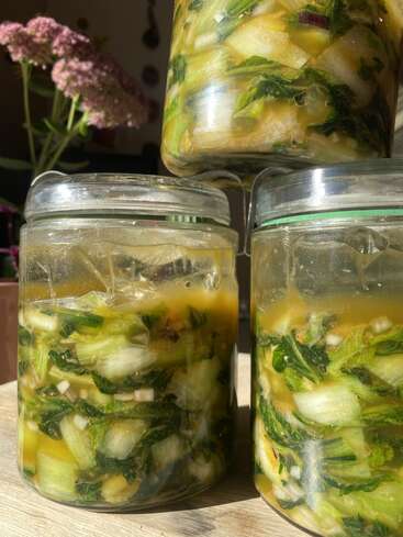Three glass jars filled with homemade pickled vegetables in brine are shown. Sunlight highlights the green, white, and yellow colors. Pink flowers are blurred behind.