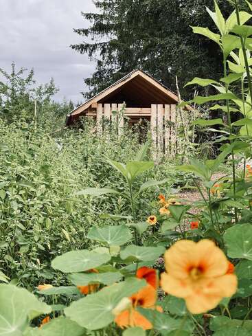 Eine kleine Holzhütte liegt eingebettet zwischen üppigem Grün und orangefarbenen Blüten, umgeben von Bäumen, unter einem bewölkten Himmel – eine friedliche, natürliche Kulisse.