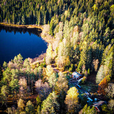 A imagem retrata uma cena serena de floresta com um lago, com uma pequena casa vermelha e dependências, cercada por árvores e folhagens exuberantes, banhadas pela luz quente do sol.
