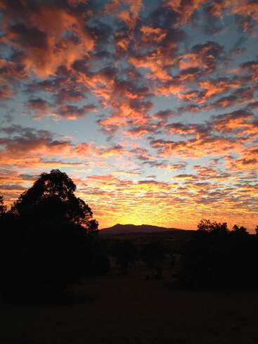 Das Bild zeigt einen atemberaubenden Sonnenuntergang mit leuchtenden orangefarbenen und gelben Tönen vor einem blauen Himmel, mit Silhouetten von Bäumen und Bergen im Vordergrund.