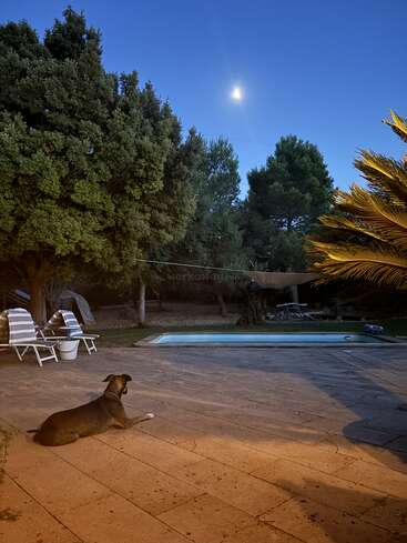 Das Bild zeigt einen ruhigen Hinterhof in der Abenddämmerung mit einem Pool, Liegestühlen, Bäumen und einem Hund vor einem klaren blauen Himmel mit Vollmond.