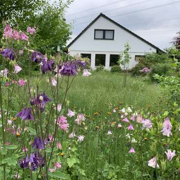 Das Bild zeigt ein ruhiges weißes Haus mit einem dunklen Dach inmitten eines üppigen grünen Rasens und leuchtenden lila und rosa Blumen im Vordergrund.