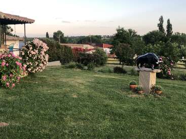 A peaceful garden scene with green grass, blooming pink flowers, scattered pots, bushes, and trees. There is a covered well and houses in the background.