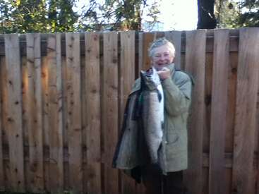 Ein älterer Mensch steht vor einem Holzzaun, lächelt und hält stolz einen großen Fisch in der Hand. Er scheint sich über seinen beeindruckenden Fang im Freien zu freuen.