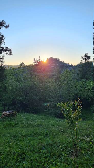The sun sets behind a tree-covered hill, casting a warm glow over a lush, green landscape filled with grass, bushes, and serene natural beauty.