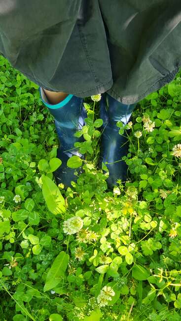 A person wearing dark blue rubber boots and a green skirt stands in a lush patch of clover and wildflowers under bright sunlight, enjoying nature.