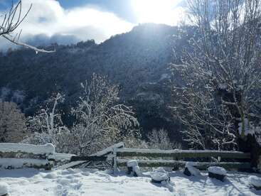 Un sereno paisaje invernal con árboles cubiertos de nieve, una rústica valla de madera y montañas lejanas bajo un sol radiante. Se ven huellas de pisadas en la nieve fresca.