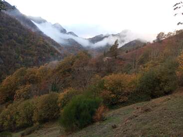 Un sereno paisaje otoñal en el que la niebla se desliza suavemente sobre las montañas boscosas. Un exuberante follaje en tonos verdes, amarillos y marrones llena el apacible valle.