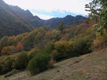 Esta imagen muestra un sereno paisaje de montaña con densos bosques, árboles de color otoñal, colinas onduladas y picos escarpados bajo un cielo parcialmente nublado, que evoca una apacible belleza natural.