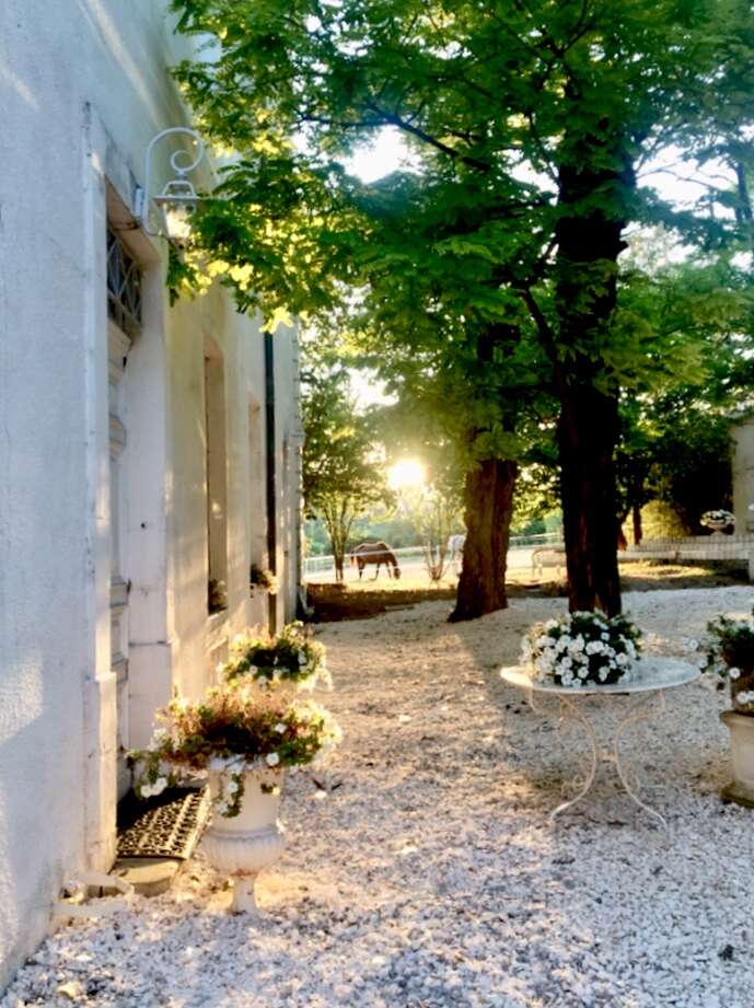 The image depicts a serene white stucco building with a gravel pathway, adorned with potted plants and trees, set against a backdrop of horses grazing in the distance.