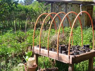 A wooden raised garden bed with orange arches holds small potted plants. In the background, there is lush greenery and a rustic building with bottle-filled walls.