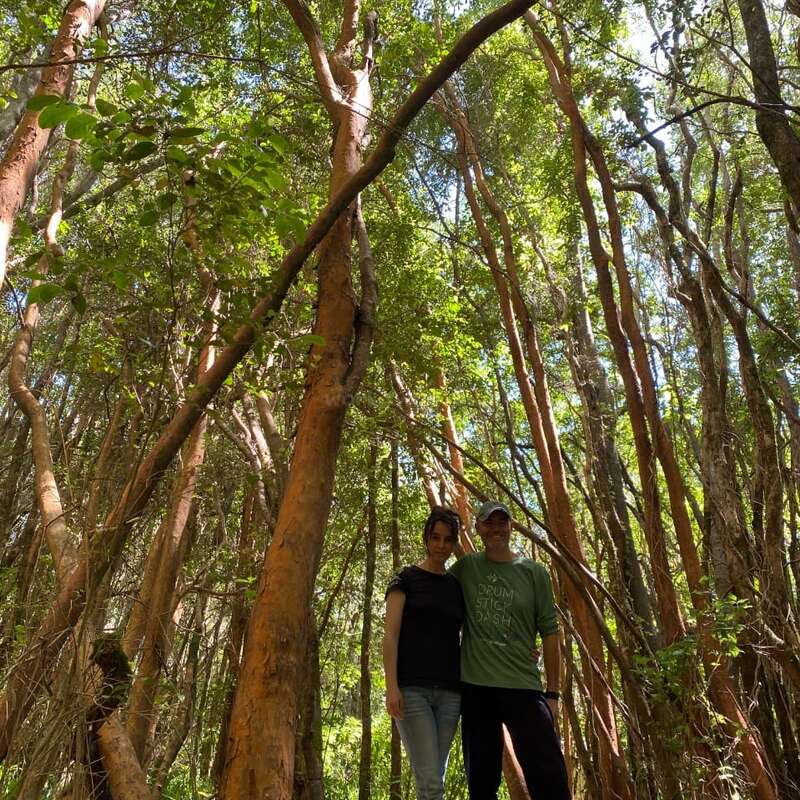 The image depicts a man and woman standing in a forest, surrounded by tall trees with orange bark and green leaves. The couple is dressed in casual attire.