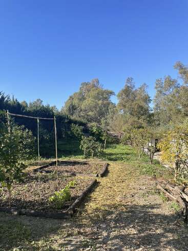 Un jardin ensoleillé avec des plates-bandes surélevées, de jeunes plantes et des arbres, entouré de verdure et d'un ciel d'un bleu éclatant. Un cadre extérieur paisible et naturel au printemps.