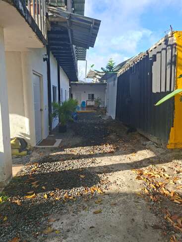 Une ruelle étroite aux murs blancs, un chemin de gravier, des feuilles éparpillées, des plantes en pot et, sur la gauche, des portes donnant sur un petit bâtiment baigné de soleil.