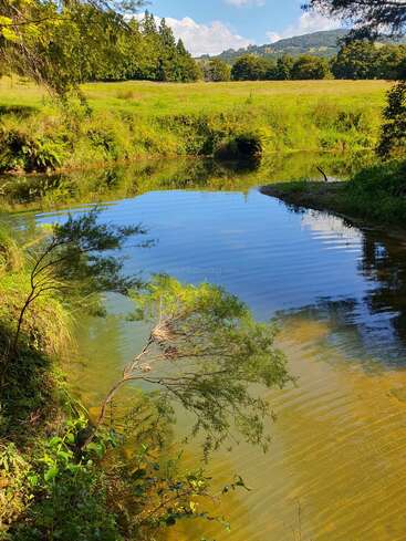Um rio tranquilo circula por um campo verde e exuberante, cercado por árvores e arbustos, sob o céu azul e colinas distantes, refletindo cores vibrantes e natureza pacífica.