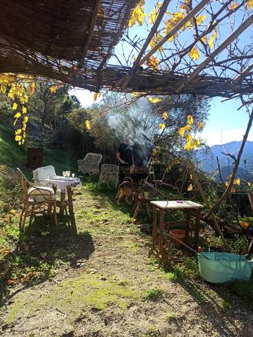 Um ambiente rústico ao ar livre com cadeiras de vime, uma mesa com bebidas, trepadeiras frondosas acima, montanhas ao fundo, uma pessoa grelhando e um cachorro por perto. Dia ensolarado.