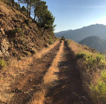Um caminho de terra serpenteia por uma paisagem montanhosa, ladeado por grama seca e árvores, com uma pessoa andando de bicicleta à distância sob um céu azul claro.