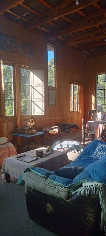 Sunlight floods a cozy wooden room with large windows, shabby furniture, colorful pillows, and rustic tables. The peaceful, inviting space overlooks lush green trees outside.