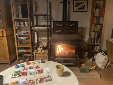 El acogedor salón cuenta con una estufa de leña con un cálido fuego, estanterías, una mesa con un juego de cartas, fichas de colores y una taza amarilla.