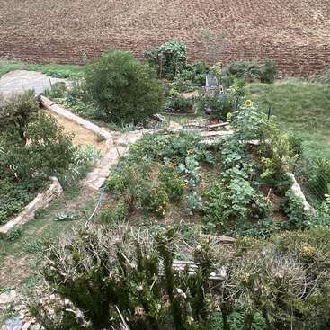 Esta imagen muestra un jardín exuberante y bien cuidado con diversas plantas verdes, caminos de piedra, parterres y un campo labrado al fondo, más allá de la valla.