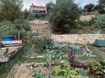 A lush, terraced garden thrives on a hillside with stone walls, leafy vegetables, wooden pallets, compost bins, and a small house overlooking the greenery above.