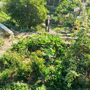 Uma pessoa está em um jardim verdejante e exuberante, repleto de várias plantas, flores e girassóis. A cena transmite uma sensação de paz e vitalidade sob a luz do sol.