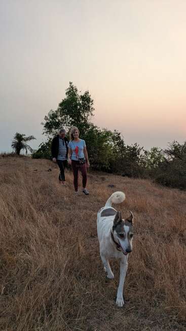 Zwei Frauen wandern bei Sonnenuntergang durch trockenes Gras, begleitet von einem fröhlichen Hund im Vordergrund. Bäume und ein ruhiger Himmel schaffen eine friedliche Outdoor-Szene.