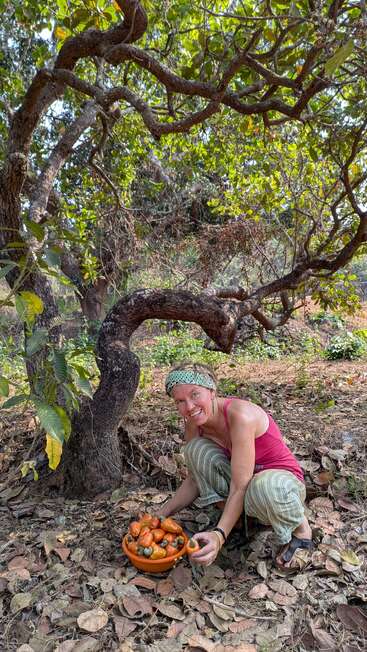 Une femme est agenouillée sous un arbre tordu, souriante, tenant des fruits de cajou dans un bol. Le sol est recouvert de feuilles sèches dans un cadre naturel et boisé.